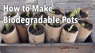 How to Make Biodegradable Plant Pots  Homemade Seed Starting Pots [upl. by Atnuahc]