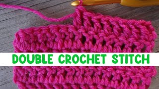 How to Work the Double Crochet Stitch [upl. by Mourant697]