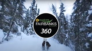 360degree Dog Sled Ride in Fairbanks Alaska [upl. by Starr414]