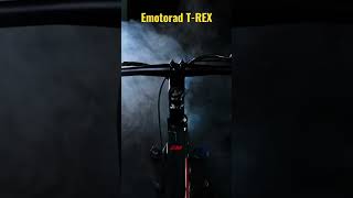 Emotorad TREX  EMotorad [upl. by Clements]