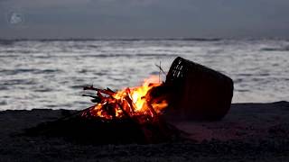 🔥 Campfire Bonfire on the Beach with the Sound of Relaxing Ocean Waves amp Crackling Burning Firewood [upl. by Doughman]