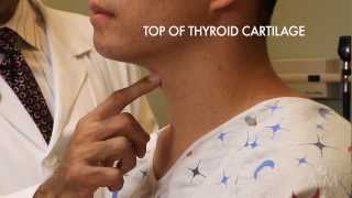 The Thyroid Exam Stanford Medicine 25 [upl. by Notak]