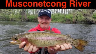 Musconetcong River Trout Fishing [upl. by Ardnahsal]