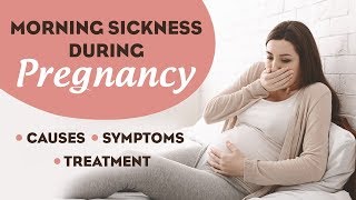 Morning Sickness During Pregnancy [upl. by Queridas]