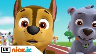 Paw Patrol  Pup Race  Nick Jr UK [upl. by Shannan167]