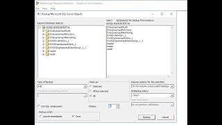 How to Backup Veritas NetBackup 82 Microsoft SQL Full Tlog and Intelligence [upl. by Sloane]