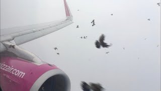 BIRDSTRIKE Wizzair  A321  Eindhoven  Budapest  full flight video [upl. by Nirol]