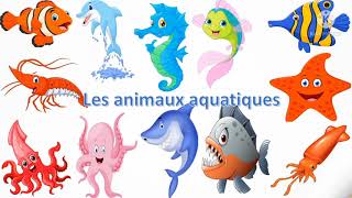 les animaux aquatiques [upl. by Omsoc302]