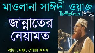 জান্নাতের নেয়ামত। Maulana Delwar Hossain Saidi Waz। [upl. by Thier]