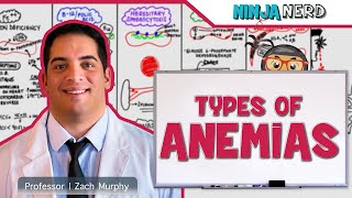 Hematology  Types of Anemias [upl. by Sumaes]