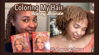 DYING MY HAIR HONEY BLONDE  NO BLEACH  Life with Bria Reneé [upl. by Dearborn383]