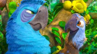 RIO Clip  quotBlue Macaw Booksquot 2011 [upl. by Letsyrhc]