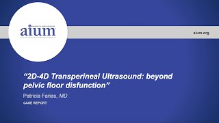 2D4D Transperineal Ultrasound Beyond Pelvic Floor Disfunction [upl. by Derinna]