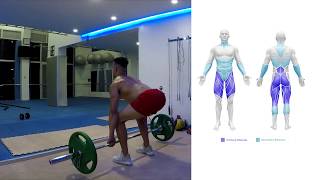 Deadlift  How To Do A Deadlift Benefits amp Muscles Worked [upl. by Gower]