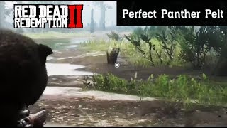 Where To Find A Panther  Red Dead Redemption 2 Perfect Pelt Location Guide RDR2 [upl. by Portland633]