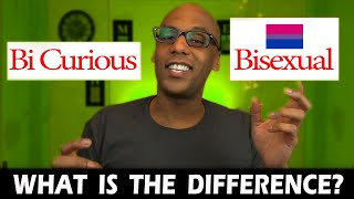 Bi Curious vs Bisexual  Bisexuality Explained [upl. by Ssirk685]