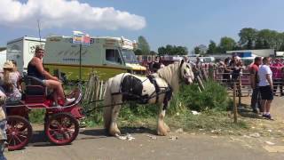 Appleby Horse Fair  Appleby Cumbria [upl. by Danzig]