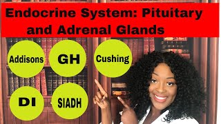 Endocrine System Adrenal and Pituitary Glands [upl. by Akselav19]