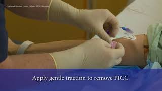 PICC Line Removal [upl. by Larine]