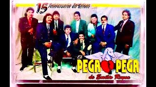 El pega pega 15 exitos Regrabados vol 1 CD completo [upl. by Dubenko]