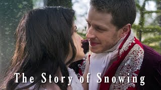 The Story of Snowing [upl. by Auehsoj948]