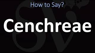 How to Pronounce Cenchreae CORRECTLY [upl. by Aramoix]