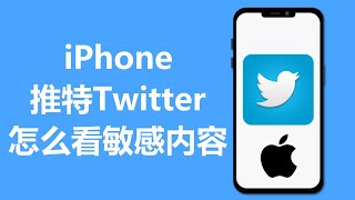 2023 iPhone推特如何看敏感内容  iOS  Twitter [upl. by Ferris839]