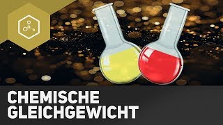 Chemisches Gleichgewicht [upl. by Tonl]