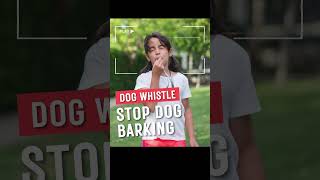 High Pitched Dog Whistle Sound shorts [upl. by Essex]