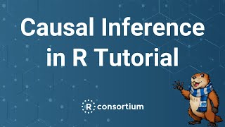 useR 2020 Causal inference in R Lucy DAgostino McGowan Malcom Barrett tutorial [upl. by Rramaj804]