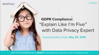 GDPR Compliance “Explain Like I’m Five” with Data Privacy Expert [upl. by Tsepmet]