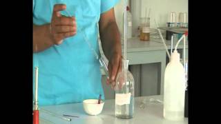 Lab demonstration neutralization reaction [upl. by Haldas55]