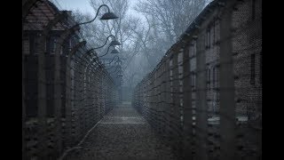 75th Anniversary of Liberation of Auschwitz Camp [upl. by Nylecyoj522]