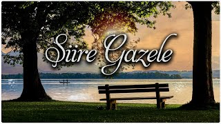 ŞİİRE GAZELE ♫ Fon Müziği Kanun amp Gitar [upl. by Zalea]