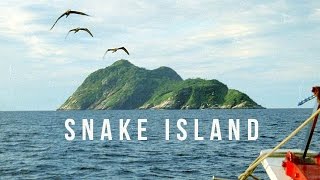 Snake Island  100 Wonders  Atlas Obscura [upl. by Ynnot]