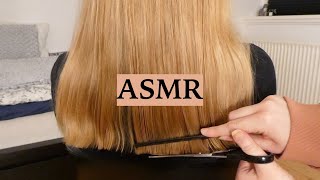 ASMR HAIRCUT COMPILATION Hair Play Hair Brushing Spraying amp Scissor Sounds No Talking [upl. by Ssur]