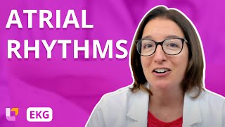 Atrial Rhythms  EKG Interpretation  LevelUpRN [upl. by Chaker]