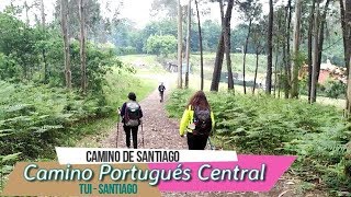 Camino Portugués Central Tui  Santiago  Camino de Santiago [upl. by Halette945]