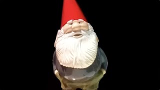 Rocket Lab sends Gnome Chomsky to space [upl. by Bohon]