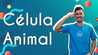 Célula Animal  Brasil Escola [upl. by Hgielar]