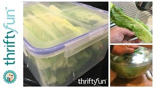 Cleaning and Storing Romaine Hearts [upl. by Marnia]