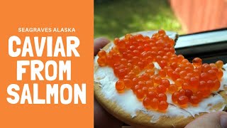 Salmon Caviar Recipe  DIY Alaska [upl. by Ateuqram]