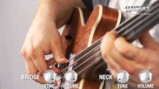 The Warwick Star Bass II Bubinga  Product Demo [upl. by Guimond]