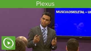 Plexus Structure amp Overview – MRCS  Lecturio [upl. by Ennaeerb]