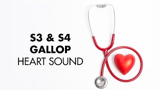 S3 and S4 Gallop  Heart Sounds  MEDZCOOL [upl. by Storer614]