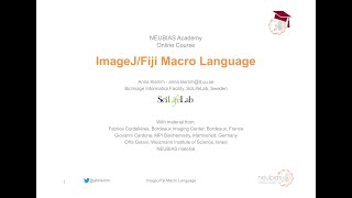 ImageJFiji Macro Language  NEUBIASAcademyHome Course [upl. by Mervin]