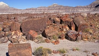 On The Trail Petrified Forest National Park [upl. by Belva756]