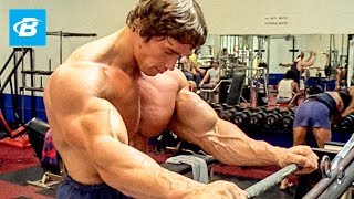 How To Train For Mass  Arnold Schwarzeneggers Blueprint Training Program [upl. by Marieann194]