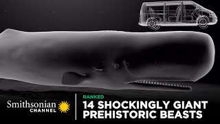 14 Shockingly Giant Prehistoric Beasts 🐋 Smithsonian Channel [upl. by Rimidalb]