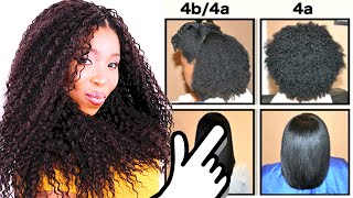 Natural Hair Types EXPLAINED In Detail w PICTURES 4C 4B amp 4A HAIR CHART [upl. by Nnylav]